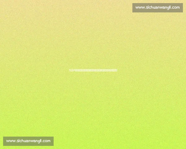 NBA总决赛湖人对阵热火最终比分几比几比赛走势与关键时刻回顾